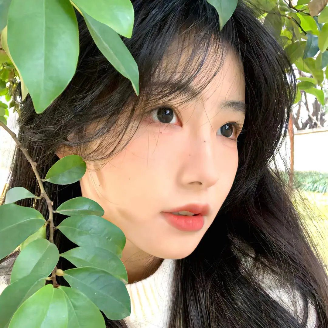 野性的冬天